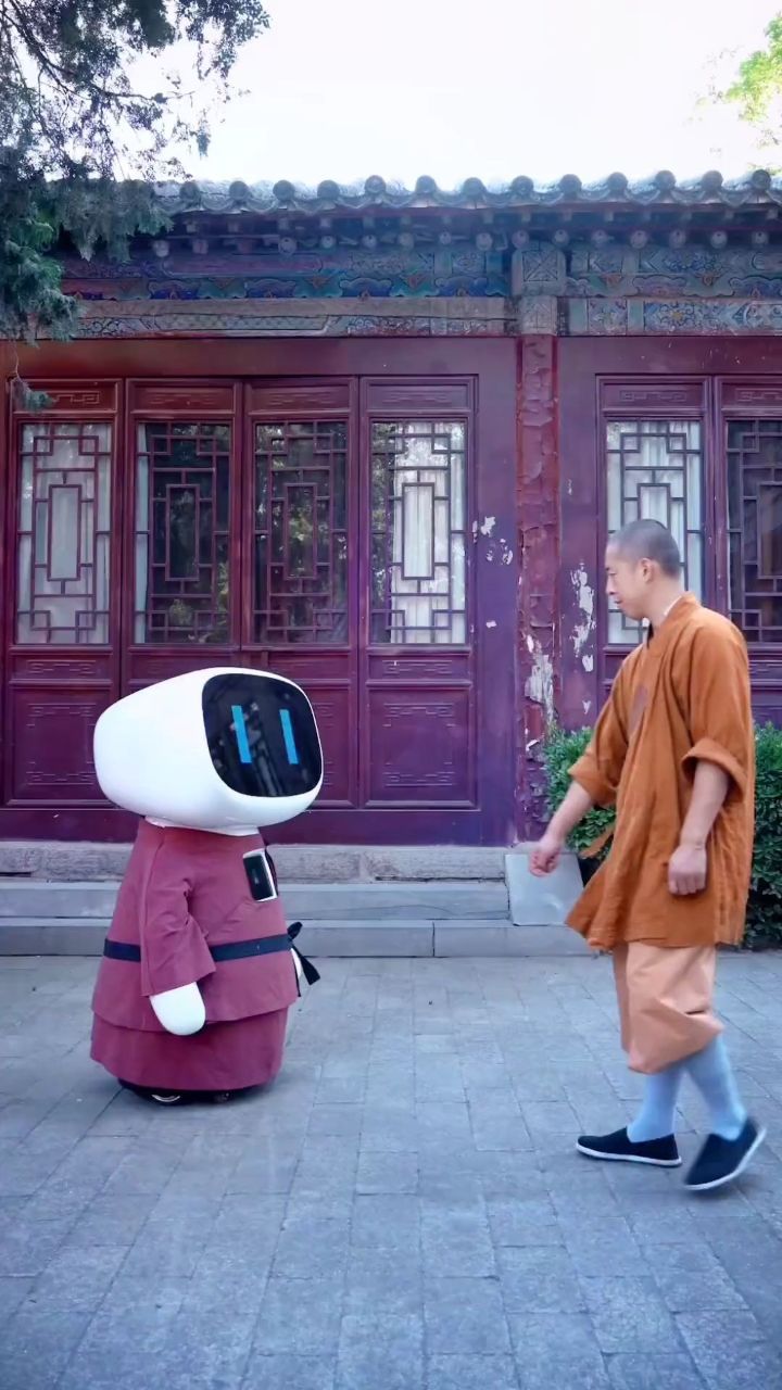 有目标,才有捷径ai机器人拜师少林少林功夫少林寺释延淀