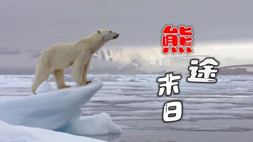 北极熊饿成了皮包骨头，在死亡线上不断的挣扎