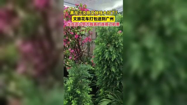 黑龙江文旅又放啥大招了?文旅花车打包送到广州,龙龙这么努力我真的连夜订机票