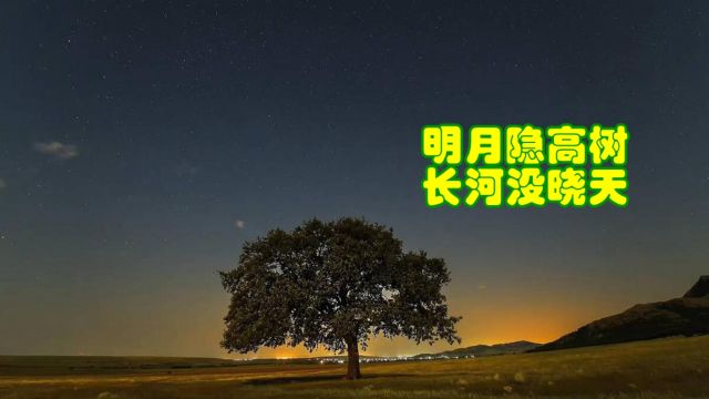 品鉴唐诗 明月隐高树,长河没晓天 陈子昂 《春夜别友人》