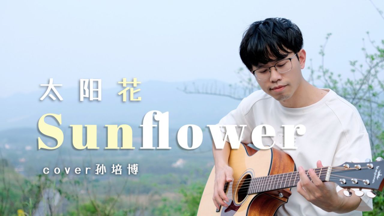 好听炸了《 sunflower》太阳花 cover-孙培博 吉他指弹