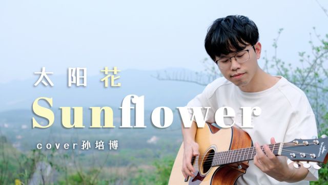 这是你的入坑曲吗?好听炸了《 Sunflower》太阳花 Cover孙培博 吉他指弹