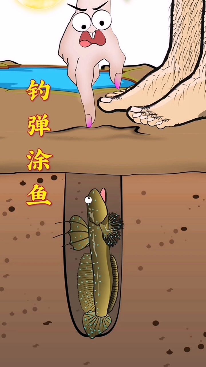 弹涂鱼反应非常灵敏,想抓到弹涂鱼只能靠这种鱼钩了!