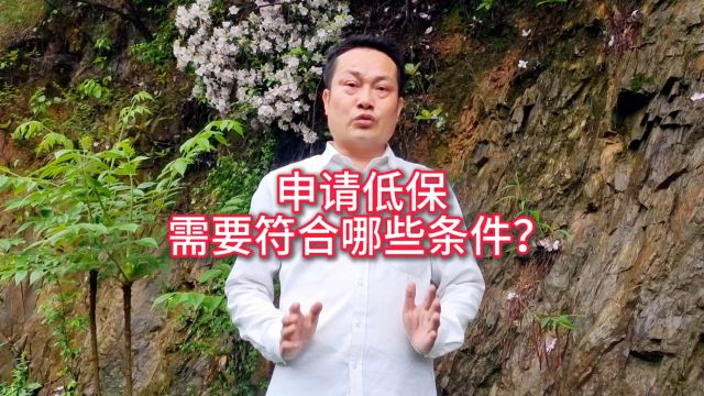 在农村生活困难,申请低保需要符合什么条件?干货分享,政策解读