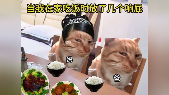 #人间真实#猫咪表情包#周末