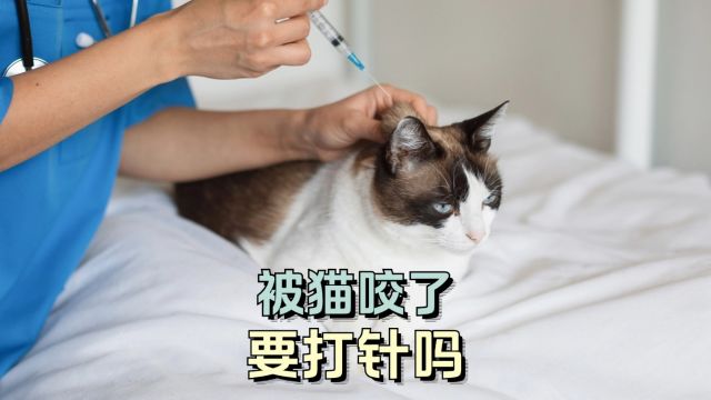 被猫咬了挠了,要打狂犬疫苗吗?