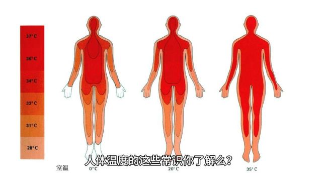 亿嘉安康大讲堂:人体温度的这些常识你了解么?