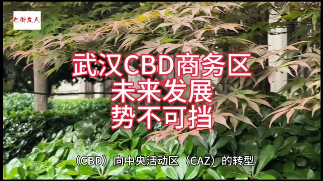 武汉CBD商务区,未来发展势不可挡