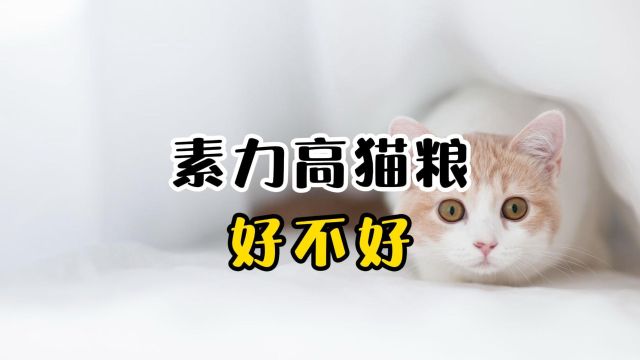 素力高猫粮好不好?