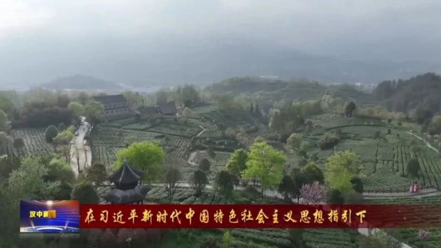 汉视新闻 | 汉中:农特产品接“二”连“三” “融”出农业好“丰”景