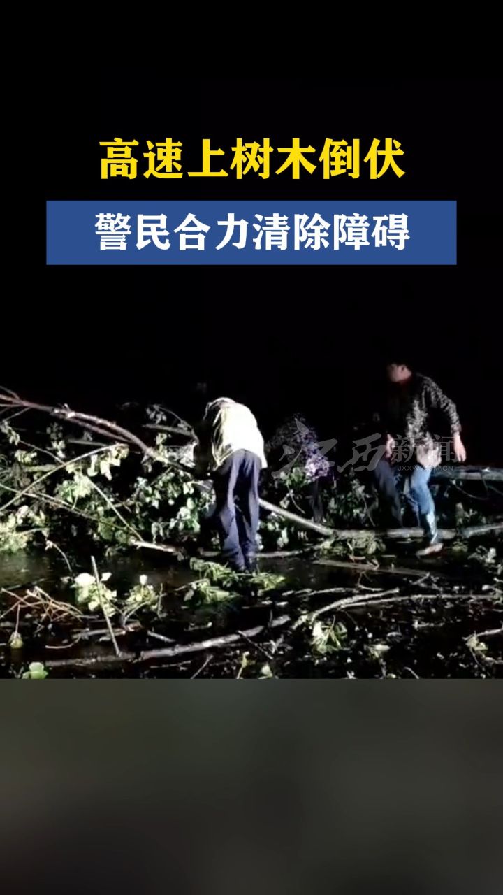 高速上树木倒伏 警民合力清除障碍