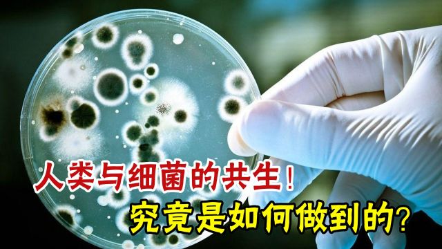 微小生物的巨大影响力,被誉为宇宙间的无所不在者?