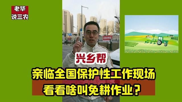 全国保护性耕地现场见闻#来抖音学农技#新农人计划2024