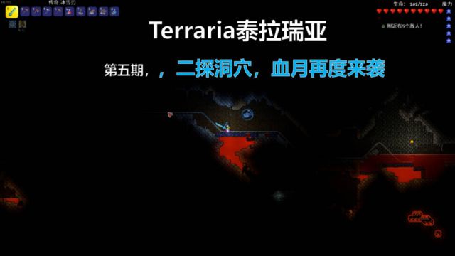 《Terraria泰拉瑞亚》专家模式新手教学.05