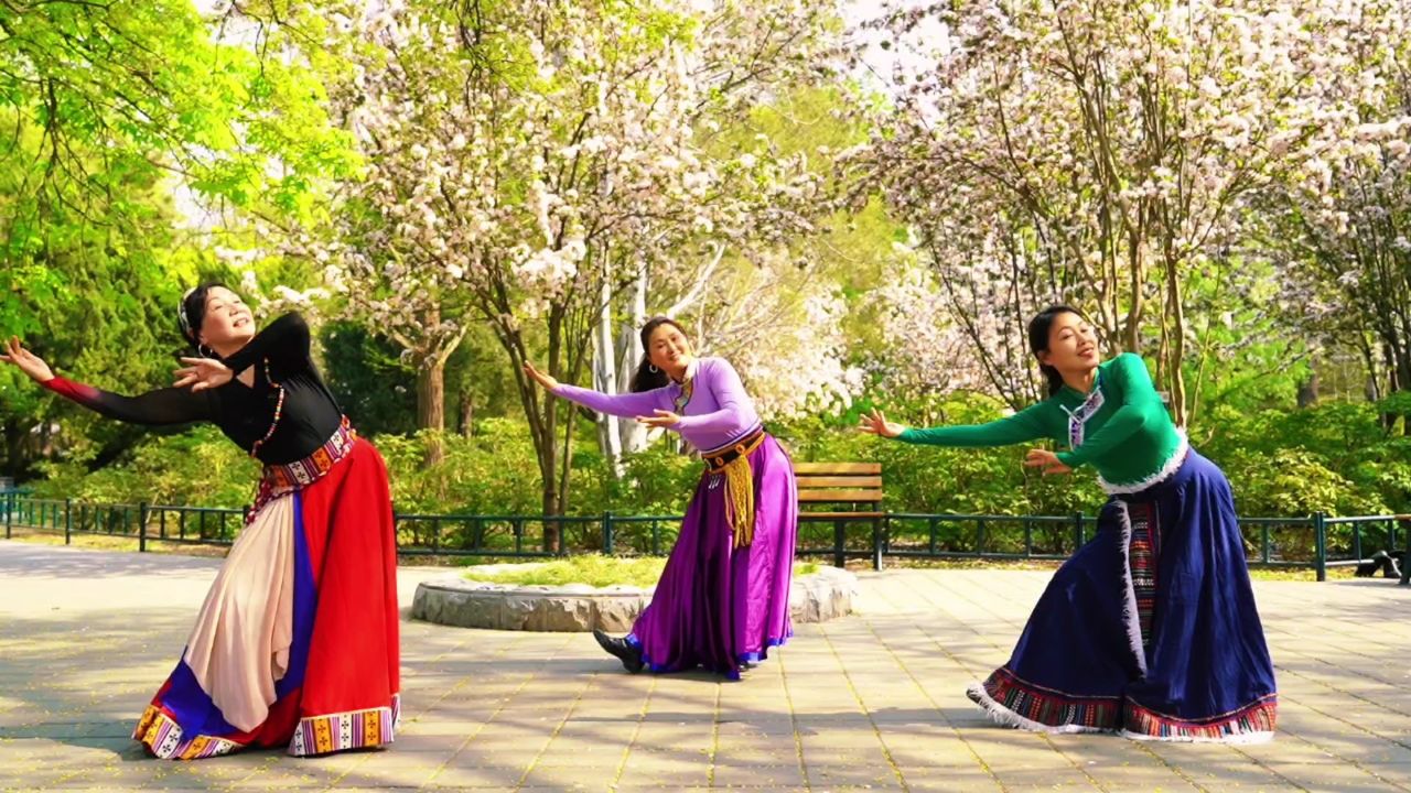 唯美大气藏族舞《我的九寨》广场舞好看,歌声悦耳动听