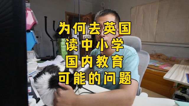 国内教育体系,可能对孩子造成的问题