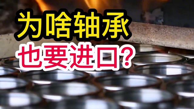 为啥轴承,也要进口?#涨知识