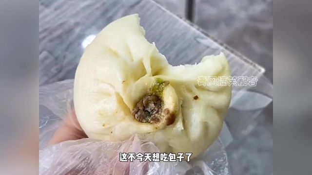 假牙包饺子,奶奶的味道 在家做美食 搞笑配音 搞笑视频