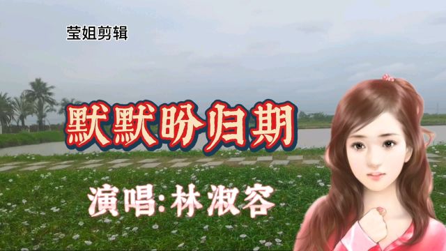 《默默盼归期》演唱林淑容,怀旧经典情歌,优美的旋律,深情动听