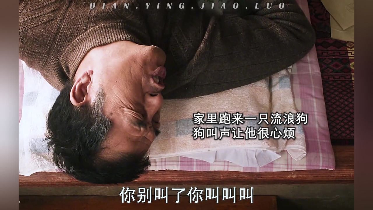 由真是故事改编，看到最后被感动到了，“你拉了我一辈子，最后这段路我拉你”忠爱无言情感影视剪辑_高清1080P在线观看平台_腾讯视频