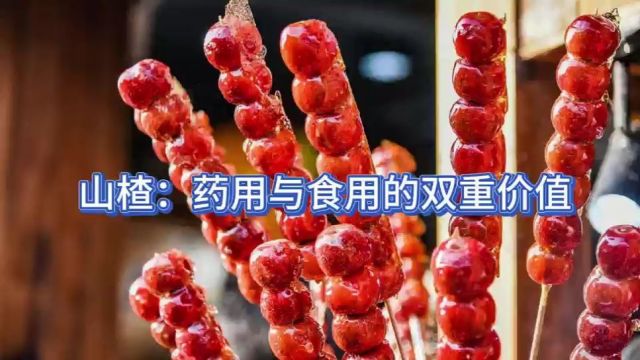 山楂:药用与食用的双重价值