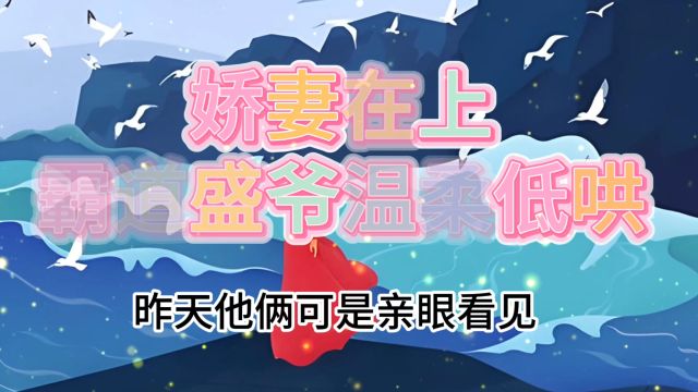 盛擎洛婉小说 娇妻在上霸道盛爷温柔低哄⠠最新章节阅读