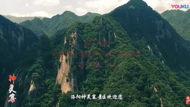 美丽中国|中华名山系列《河南神灵寨》北国第一竹海(4A)