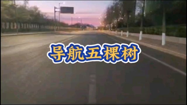 导航五棵树