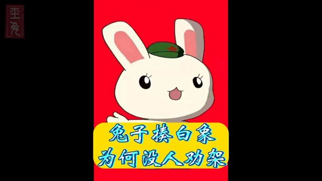 兔子和白象打架,为何没有第三方调解? #动漫