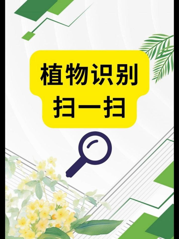 植物识别扫一扫