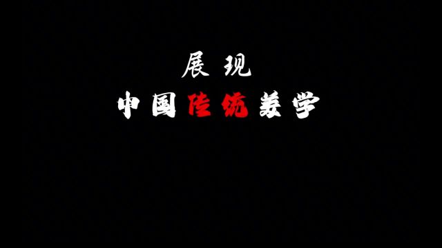 “中式美学 国风古韵”#古风 #国风