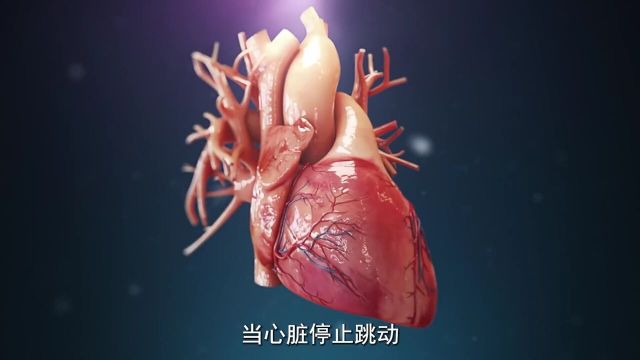 当一个人走向死亡后,身体会经历的,一系列变化