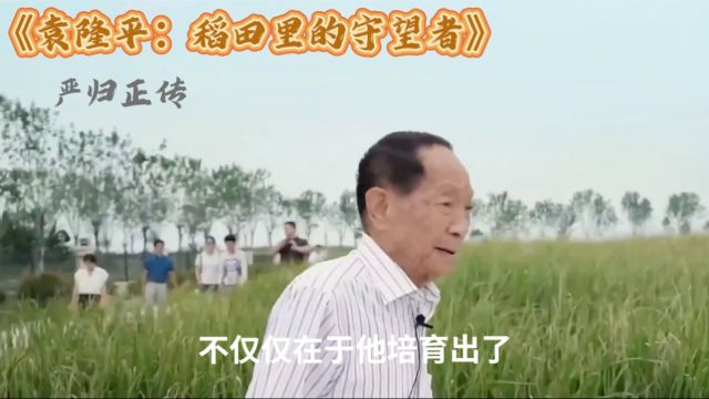 袁隆平:稻田里的守望者