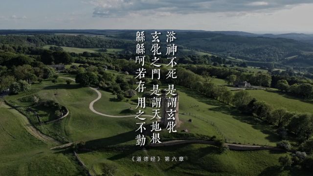 老子《道德经》第六章“浴神不死,是谓玄牝.玄牝之门,是谓天地根.緜緜呵若存,用之不勤”母性在我们生活中是非常关键的