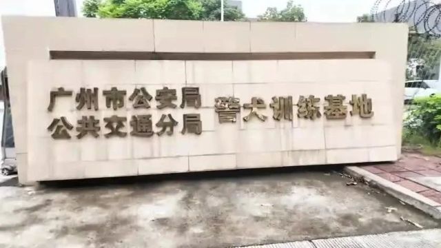 广州青年警犬训导员的日常:与“战友”培养默契配合执行任务