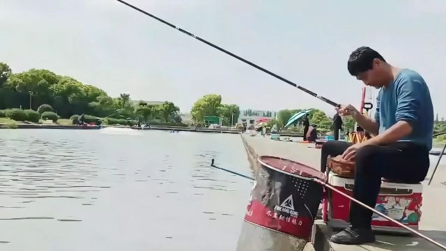 钓鲤鱼的技巧和方法,黑坑钓鲤鱼钓回锅鱼偷驴,速拔哥钓鱼视频