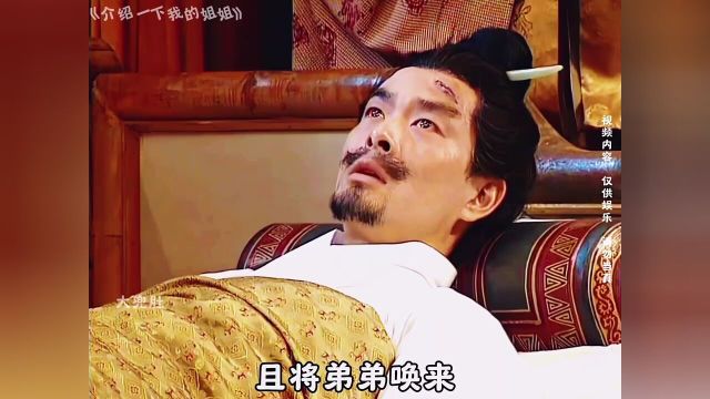 介绍一下我的姐姐