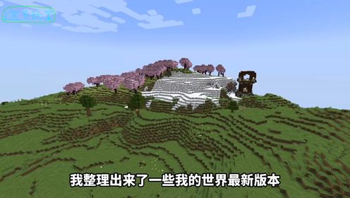 我的世界种子:超稀有奇怪的种子