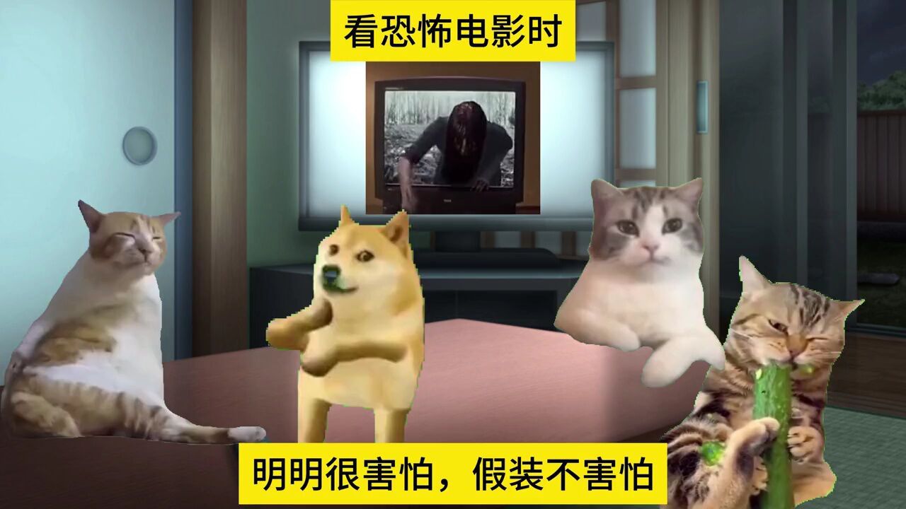 当你和好朋友一起看恐怖片时#睡前故事#meme猫#恐怖片_高清1080P在线观看平台_腾讯视频
