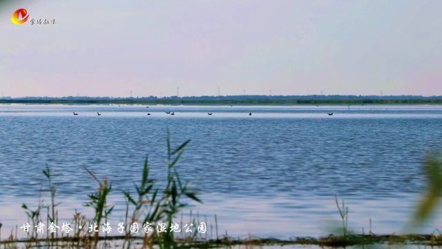 在北海子国家湿地公园,你可以尽情享受大自然的恩赐,感受历史文化的魅力.