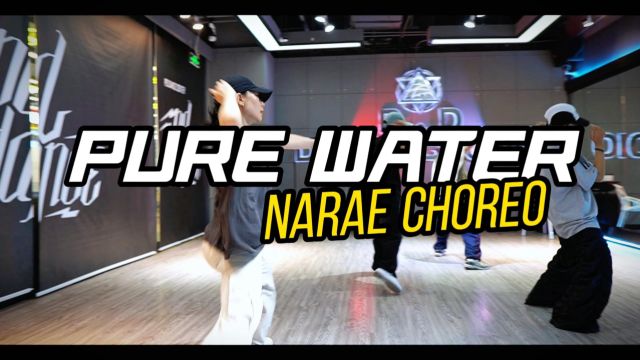 【PD DANCE 成人常规班】婷婷老师HIPHOP基础课堂《PURE WATER》