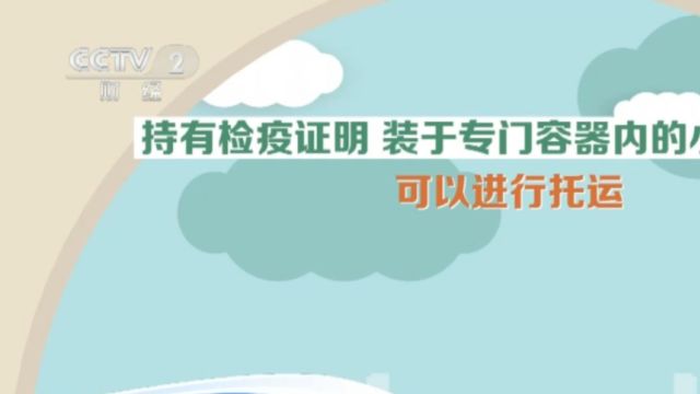 长途运输宠物怎么办,新闻提示:部分普速列车可以办理宠物托运