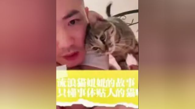 流浪猫妞妞的故事,一只懂事体贴人的猫咪!2/3