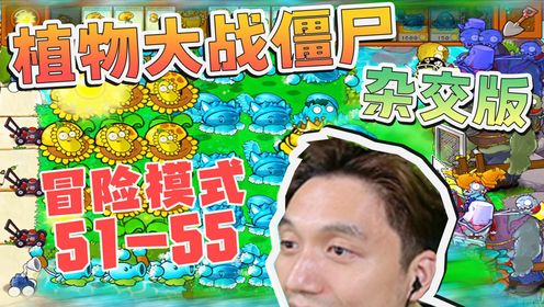 植物大战僵尸 杂交版 冒险模式（51-55）关