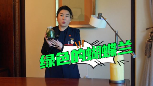 代表的“秘密武器”丨绿色蝴蝶兰的科技与“狠活”