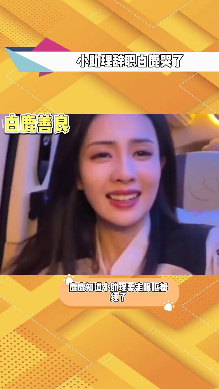 小助理辞职白鹿哭了