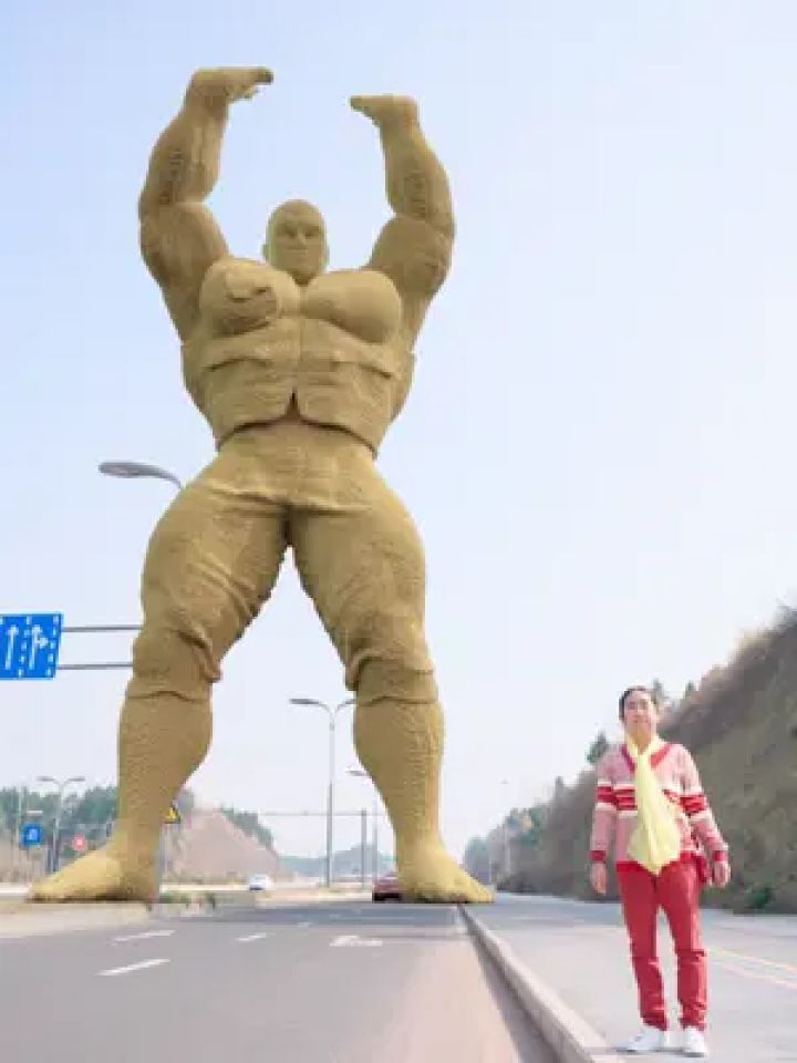 大沙雕顶天立地