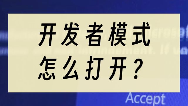 手机的开发者模式怎么打开