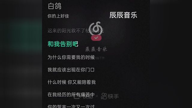 音乐白鸽