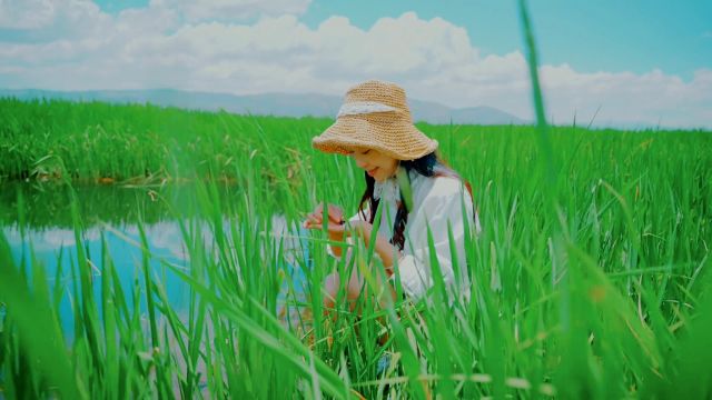 夏日治愈系小清新(仿滨田英明老师风格)